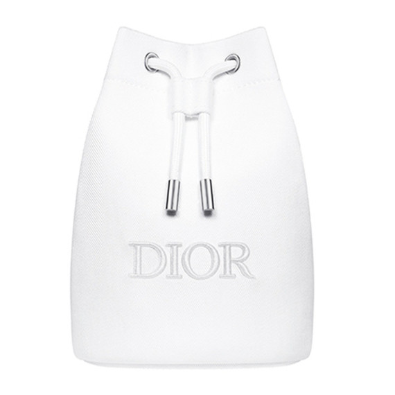 Dior Luxury Pouch