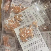 DDS RECORE SERUM DDS鮭魚精華膠囊 10pcs