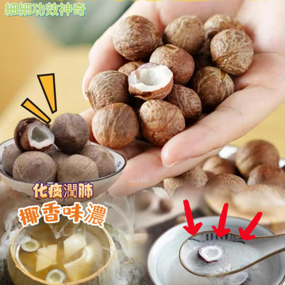 非洲特產海椰皇 BB 200g (+−8克)