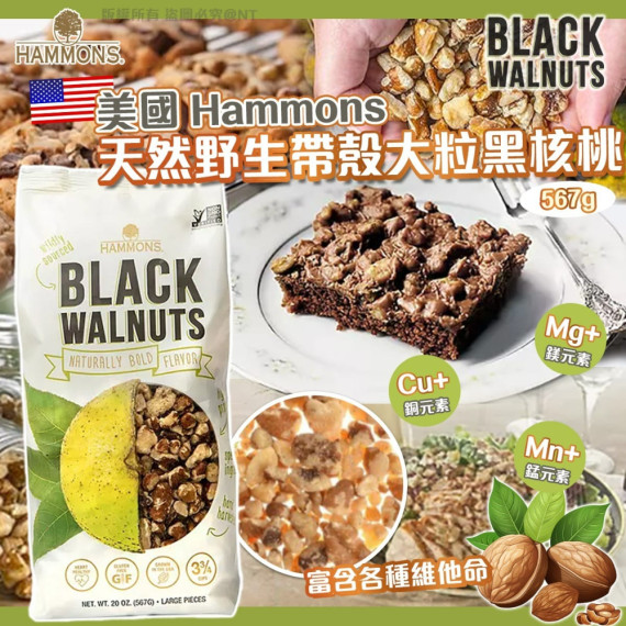 美國 Hammons 天然野生帶殼大粒黑核桃 567g