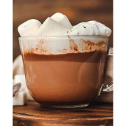 Cocoa Classics Hot Cocoa Variety Pack☕ 1.2 kg